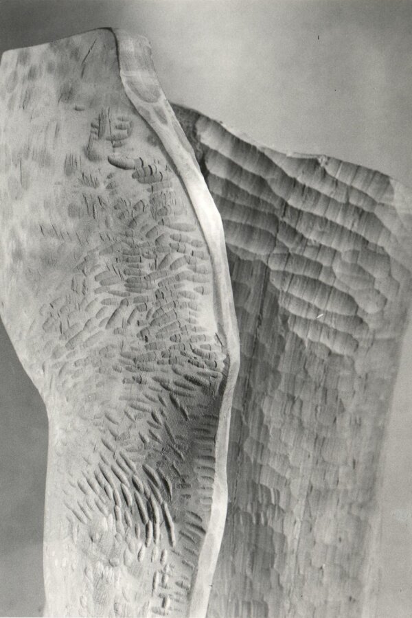 5. Rozevláté krajiny, detail, dřevo, 1980 Autor foto: Josef Tichý